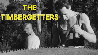 THE TIMBERGETTERS [Timber Felling Of Large Trees] Australia Axemen