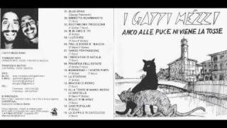 Video thumbnail of "I gatti mézzi - 05 i lucchesi - Anco alle puce ni viene la tosse"