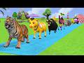 Paint Animals Duck With Lion Cow Tiger Hippo Elephant - Long Slide Game Mcr - 3d Funny Animation 192