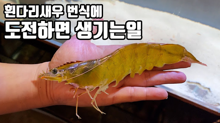 (종합편) 7개월 동안 흰다리새우 번식에 도전한 결과를 알려드립니다
