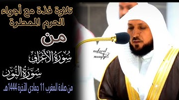 تلاوة فذة مع أجواء الحرم الممطرة|فضيلة الشيخ د.#ماهر_المعيقلي من صلاة المغرب 11 جمادى الآخرة 1444هـ