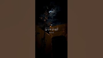 القارئ ماهر المعيقلي ⧸⧸ اكتب شيء تؤجر عليه ❤️😴