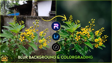Flower Mobile Editing Tutorial | Lightroom Color Grading | Lens Distortions | Blur Image Background