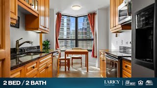 400 E Ohio St Unit 3704 Chicago, IL Laricy Properties Drone Tour Listing Video