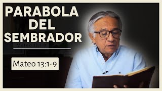 Parabola del Sembrador | Mateo 13:19   Hacia el Aposento Alto