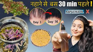 14 Days Challenge : Hair Wash से 30 मिनट पहले USE करें,100% Hair Fall बंद DENSITY & VOLUME दो गुना?