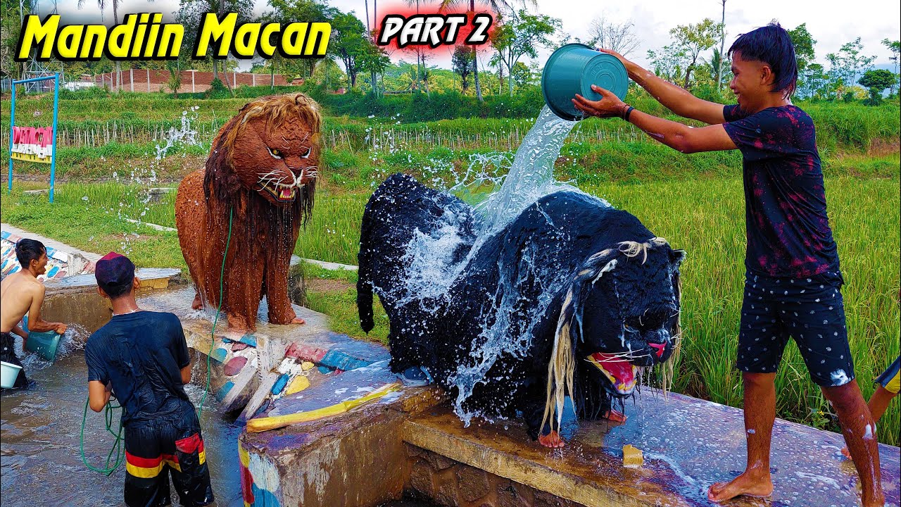 MANDIIN MACAN KUMBANG BIK SINGA PART 2 | CAN MACANAN SINGO MANGGALA