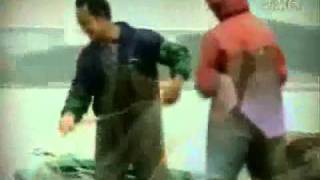 TVB Jade 翡翠台 2006 香港早晨