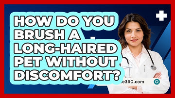 How Do You Brush A Long-haired Pet Without Discomfort? - PetGuide360.com