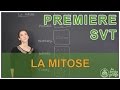 La mitose - SVT - 1ère - Les Bons Profs