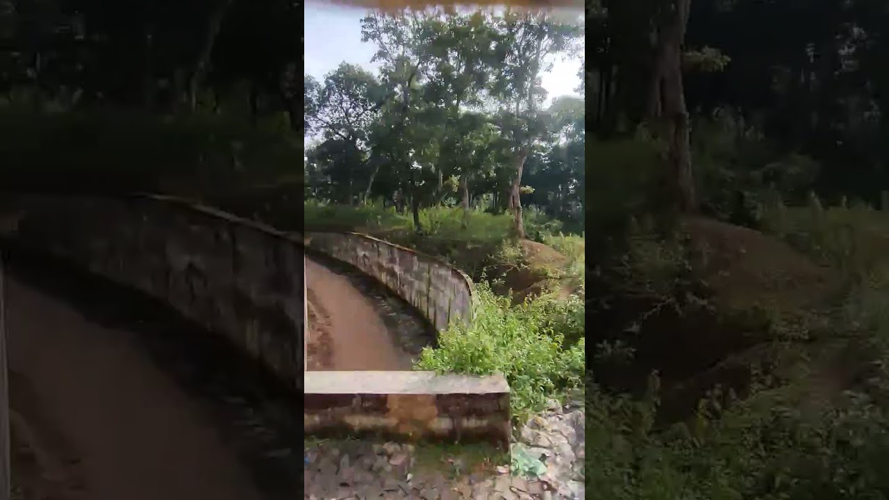 Train journey through the wilderness                                