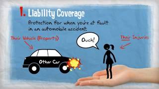 Insurance 101   Personal Auto Coverages