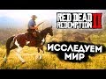 RED DEAD REDEMPTION 2 - ИССЛЕДУЕМ МИР, ОХОТА НА ЖИВОТНЫХ, ПРОХОЖДЕНИЕ СЮЖЕТА #2