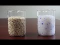 Comparison of tofu cat litter and crystal cat litter