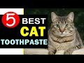 Best Cat Toothpaste 2024 🏆 Top 5 Best Cat Toothpaste Reviews