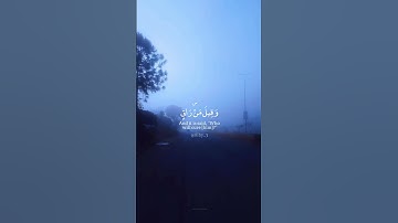 #قرآن #اللهم_صل_وسلم_على_نبينا_محمد #سبحان_الله #راحة_نفسية #تلاوة_خاشعة #اكسبلور #لايك #viralvideo