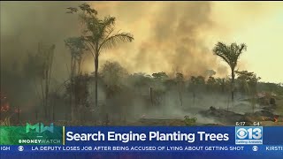Moneywatch: Online Search Engine Ecosia Donating Profits To Save The Amazon Rainforest