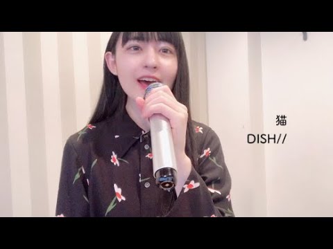 【女性が歌う】猫/DISH//（Covered by こっぺぱん）
