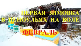 Зимовка в пеноульях на воле  Февраль 2023г. Карника  Южный Урал