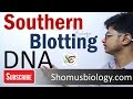 Southern blotting