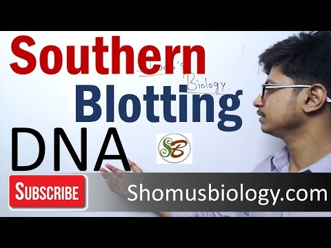 Video: Bạn hiểu gì về kỹ thuật Southern blotting?