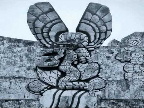 Husky - Animals & Freaks