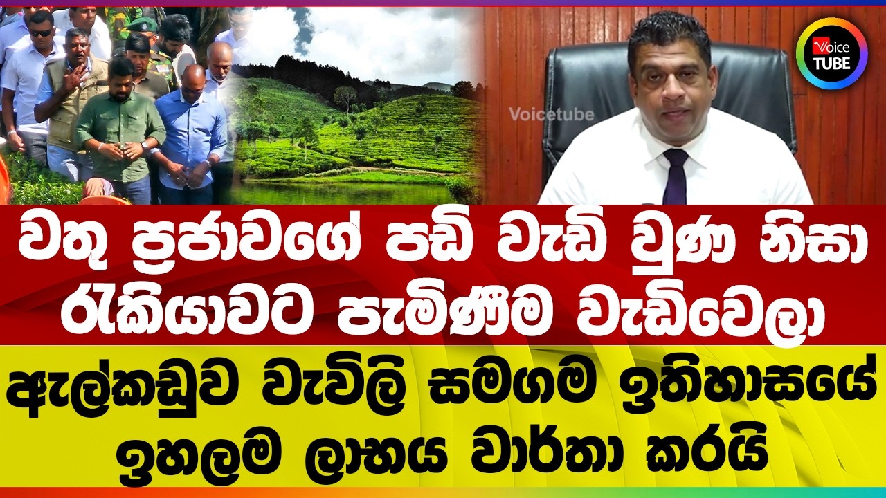 ඇල්කඩුව වැවිලි සමගම ඉතිහාසයේ ඉහලම ලාභය වාර්තා කරයි I වතු ප්‍රජාව රැකියාවට පැමිණීම වැඩිවෙලා