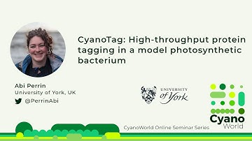 Abi Perrin | CyanoTag: High-throughput protein tagging in a model photosynthetic bacterium