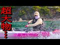 女が小船に乗って釣りをしていたら突然とんでもない超大物が女のルアーに襲いかかる！！女と超大物の凄まじい勝負の壮絶な結末…丨釣り丨Fishing丨Catch＆Cook丨Fishing video
