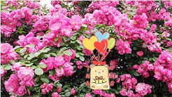手作り美好时光hand Made Happy Time Youtube