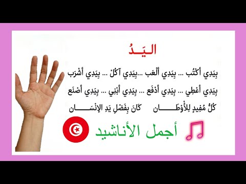 أنشودة اليد محور الحواس أجمل الأناشيد للأطفال Saghroun Academy