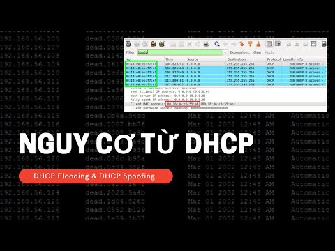 Video: Thứ tự đúng cho quy trình DHCP là gì?