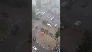 Потоп И Падение Дерева В Брянске