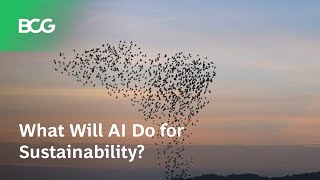 What Will AI Do for Sustainability?