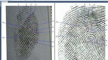 Saving a Fingerprint Comparison using FCS - The Basics