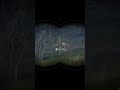 I shot a Diamond Grey Kangaroo #kangaroo  #thehuntercallofthewild