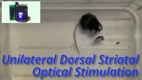 TBSI Wireless Optogenetics Stimulator