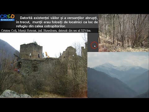 Video: Cranii orientali: descriere și fotografie