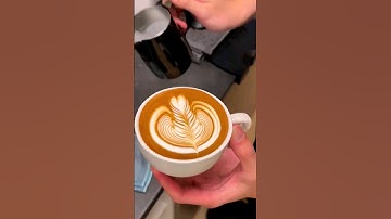 Rosetta Latte Art - Basic Rosetta Latte Art For Beginners