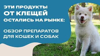 Эти Продукты От Клещей Остались На Рынке: Обзор Препаратов От Клещей И Блох Для Кошек И Собак 🕷️