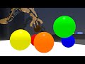 Color Identification and Video Engagement Quiz