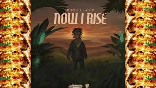 Dre Island - Now I Rise (Album 2020 Now I Rise By Kingston Hill Entertainment & Dubshot Records)