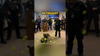 A Heartwarming Surprise for a Police Dog! ❤️🐕 #shorts