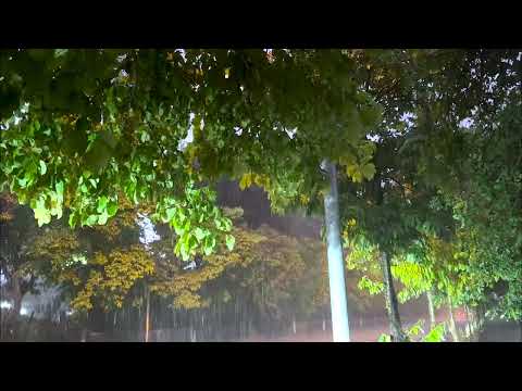 Rain Sounds for Deep Sleep and Lucid Dreaming