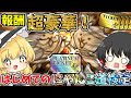 にゃんこ大戦争【報酬超豪華!】にゃんこ道検定に初めて挑んでみた結果!? 【ゆっくり実況】【無課金】part