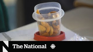 Some schools are allowing nuts again despite allergy risks