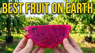 Inside a SoCal Dragon Fruit Orchard: Tasting Robles Red