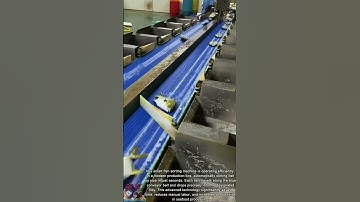 Smart Fish Processing || Sorting Machine