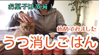 久しぶりに病院に行こうかな。っていうくらいおちてたけど「タンパク質と鉄分」とってセロトニン爆上げしてみるよ！うつ消しごはん実験中。