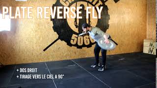 plate reverse fly